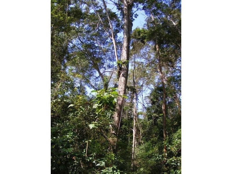 25 Bromfield Drive, Bonogin QLD 4213