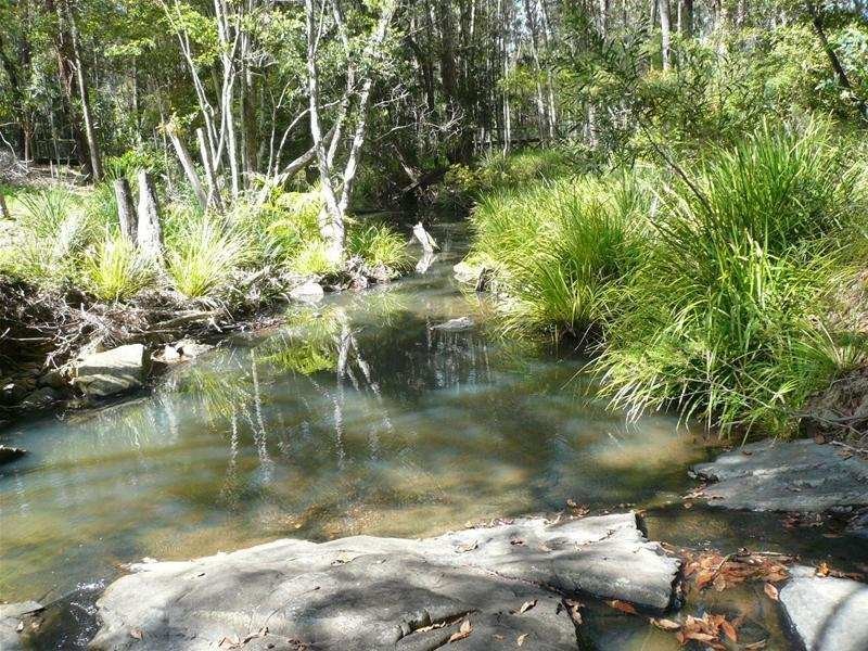 67 Mount Nathan Road, Mount Nathan QLD 4211
