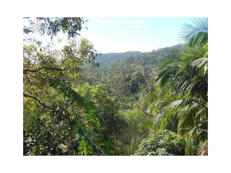 54 Gardenia Drive, Bonogin QLD 4213