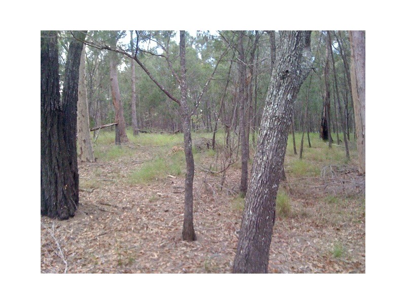 799 Gilston Road, Gilston QLD 4211