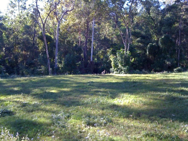 799 Gilston Road, Gilston QLD 4211