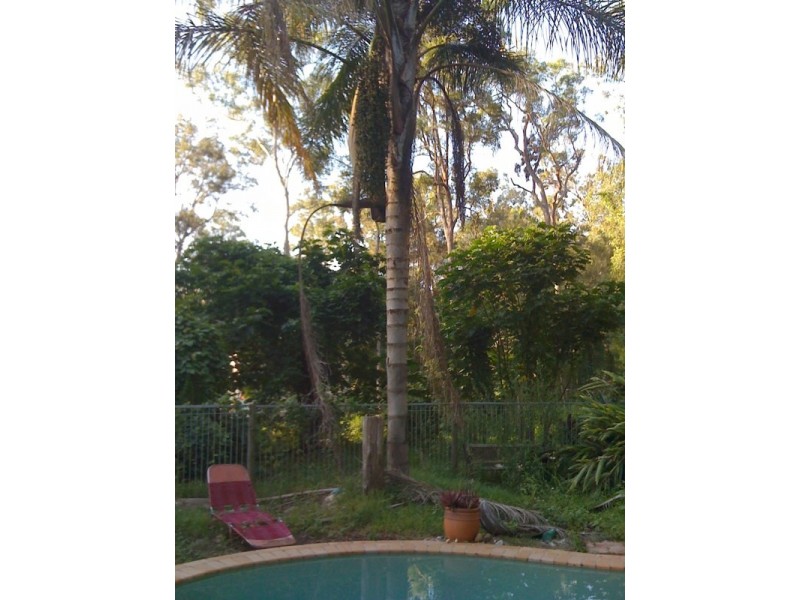 799 Gilston Road, Gilston QLD 4211