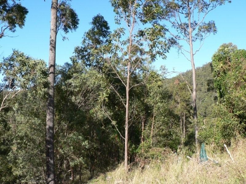 18 Kauri Court, Bonogin QLD 4213