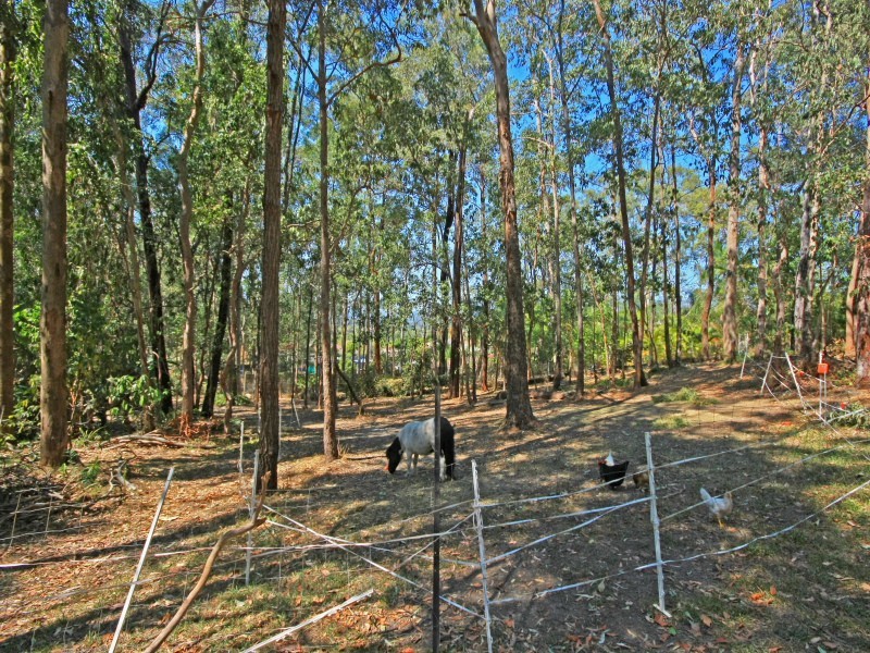 6 Talgarno Place, Tallai QLD 4213