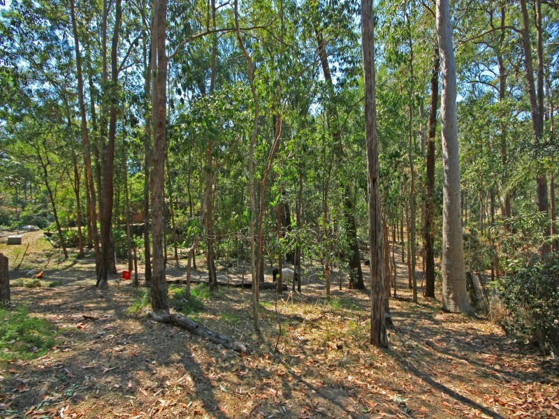 6 Talgarno Place, Tallai QLD 4213