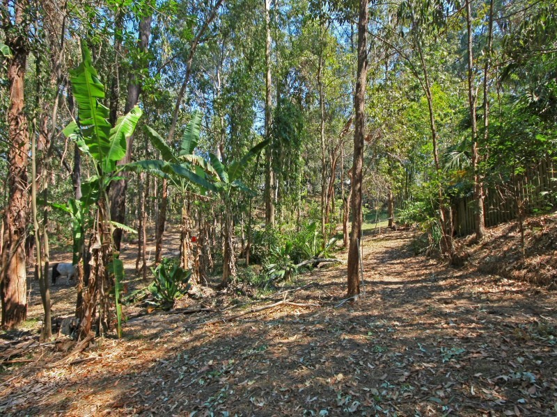 6 Talgarno Place, Tallai QLD 4213