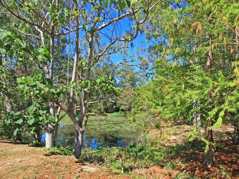 3 Strike Way, Mudgeeraba QLD 4213