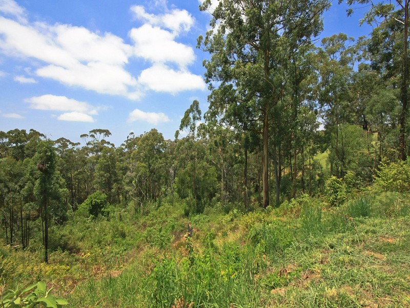 337 The Panorama, Tallai QLD 4213