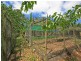 161  Mudgeeraba Road, Tallai QLD 4213