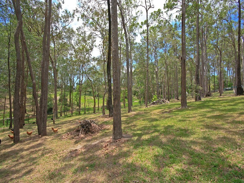 38 Walker Drive, Worongary QLD 4213