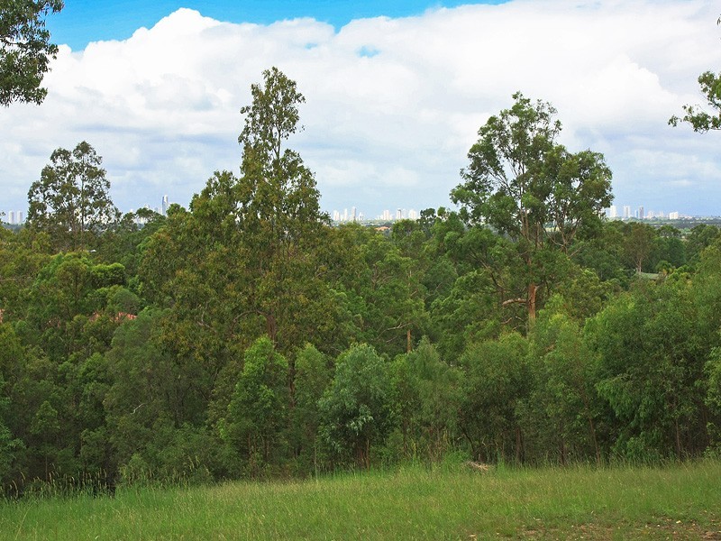 407 San Fernando Drive, Worongary QLD 4213
