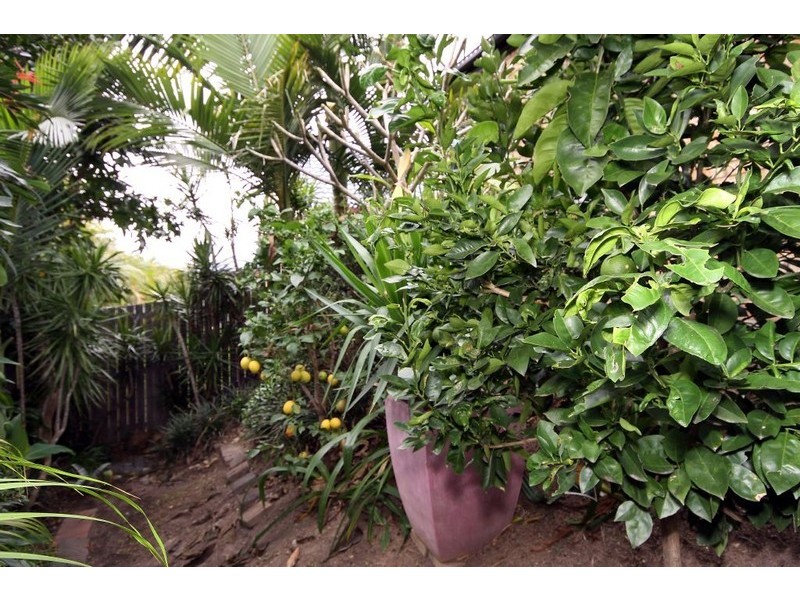 53 Merrilaine Crescent, Merrimac QLD 4226