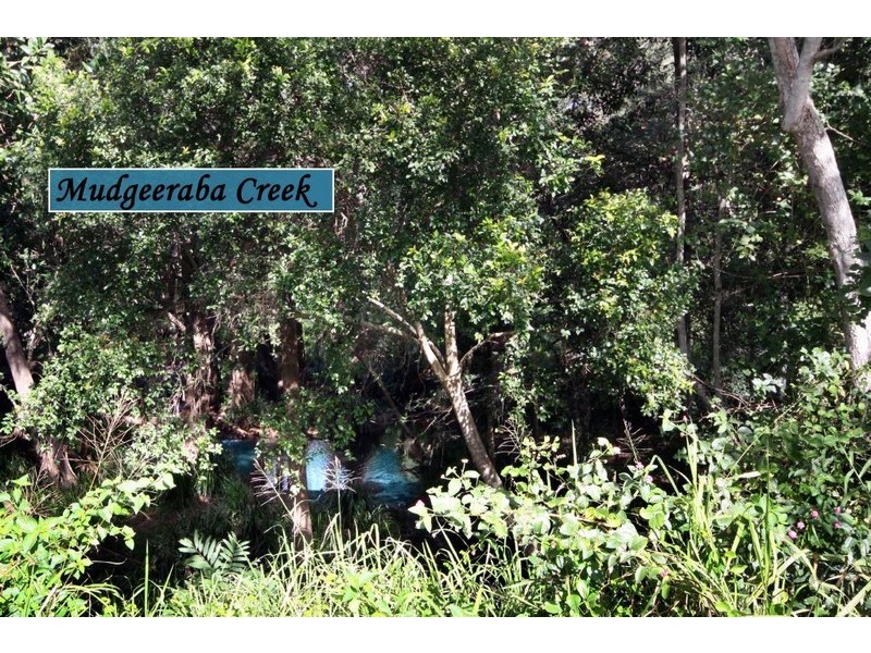 19 Altos Court, Mudgeeraba QLD 4213