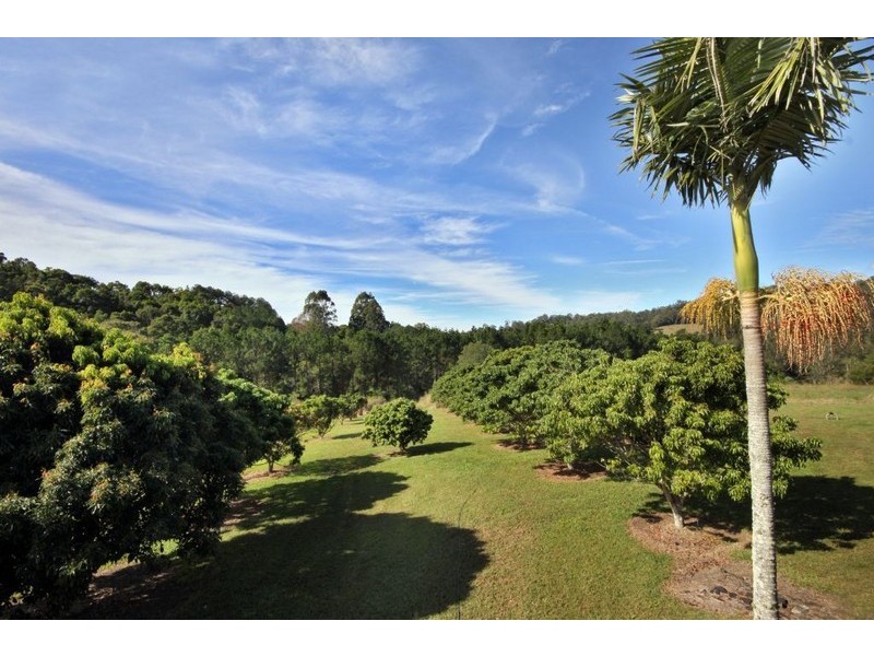69 Julie Way, Mudgeeraba QLD 4213