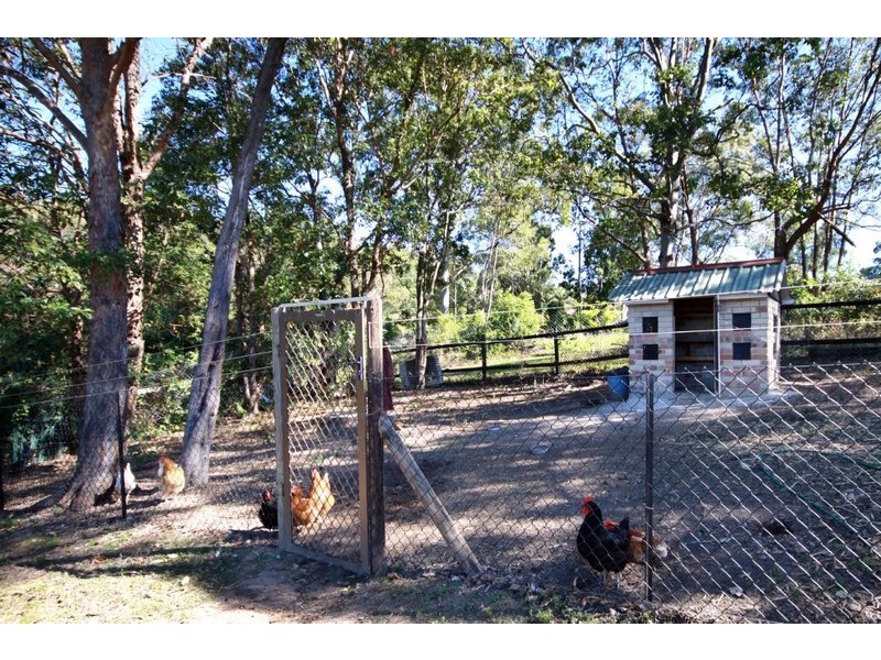 13 Brixton Ct, Tallai QLD 4213