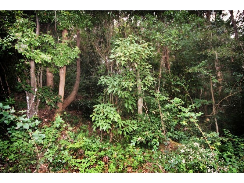 80 Bromfield Drive, Bonogin QLD 4213