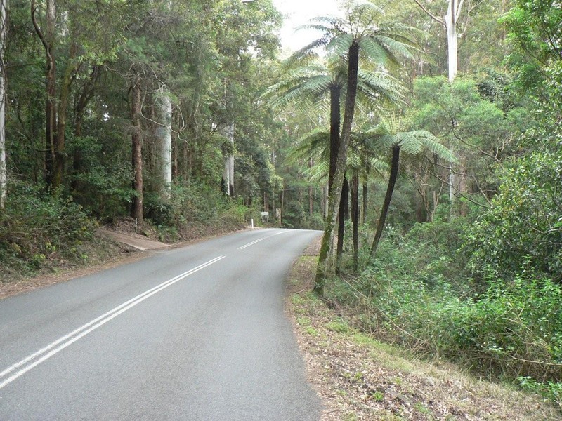 2195 Springbrook Road, Springbrook QLD 4213