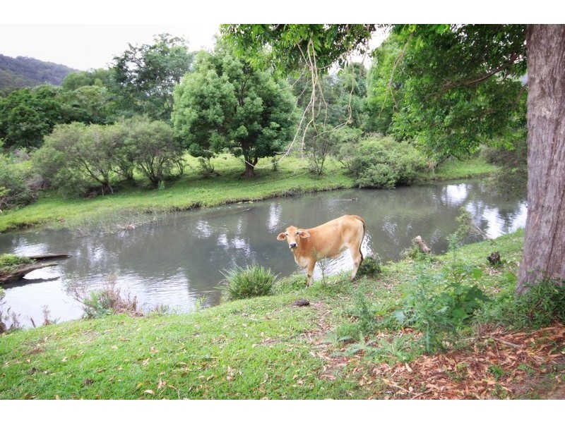 82 Glenmore Drive, Bonogin QLD 4213