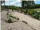 25 Nature Valley Court, Tallai QLD 4213