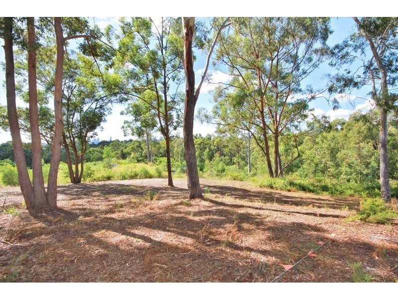 172 San Fernando Drive, Worongary QLD 4213