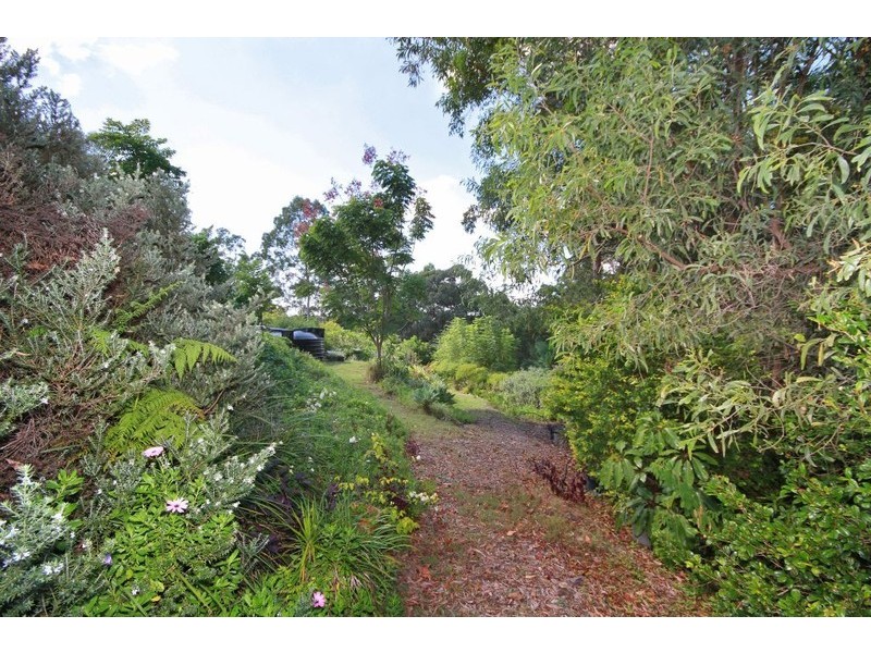 174 San Fernando Drive, Worongary QLD 4213