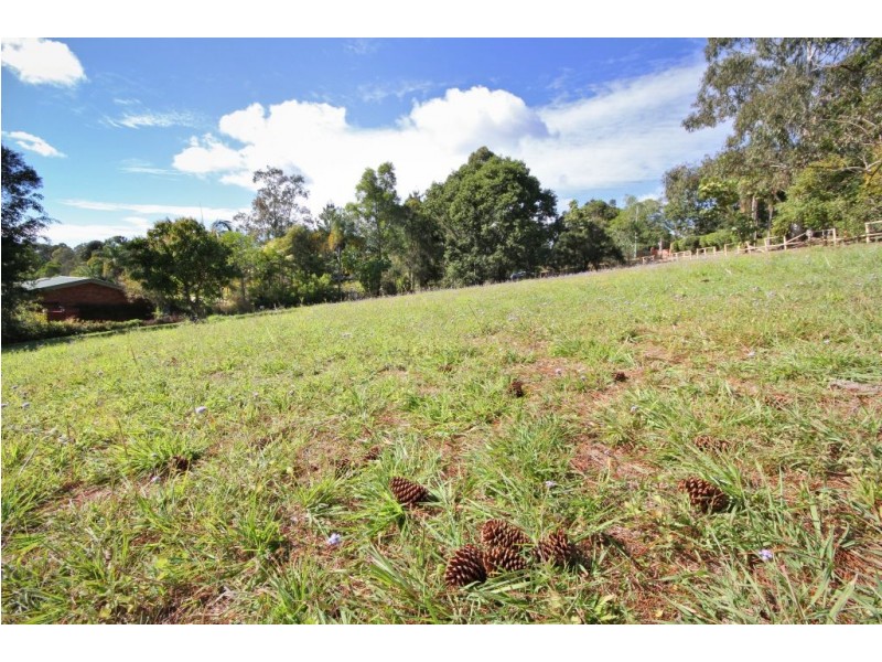 5 Veronica Drive, Tallai QLD 4213