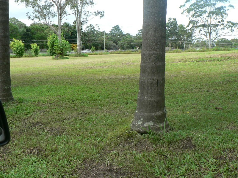 47 Worongary Rd, Tallai QLD 4213