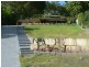 20 Constellation Cres, Mudgeeraba QLD 4213