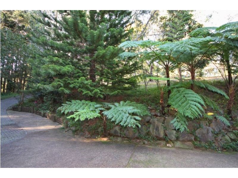 54 Tallai Road, Tallai QLD 4213