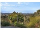 37 Tarrant Drive, Mudgeeraba QLD 4213