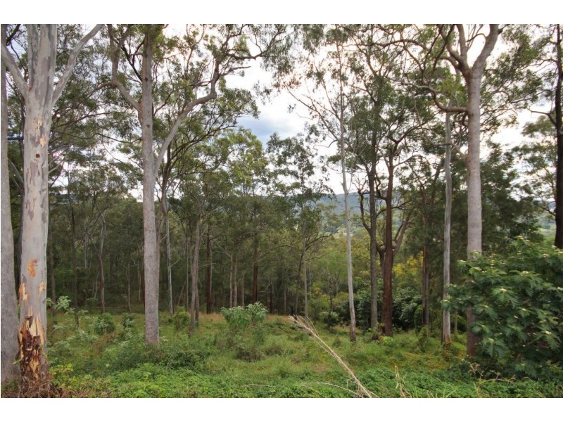 37 Tarrant Drive, Mudgeeraba QLD 4213