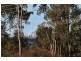 37 Tarrant Drive, Mudgeeraba QLD 4213