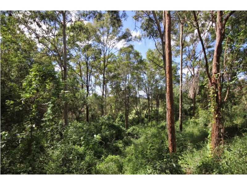 27 Coorumbene Ct, Tallai QLD 4213