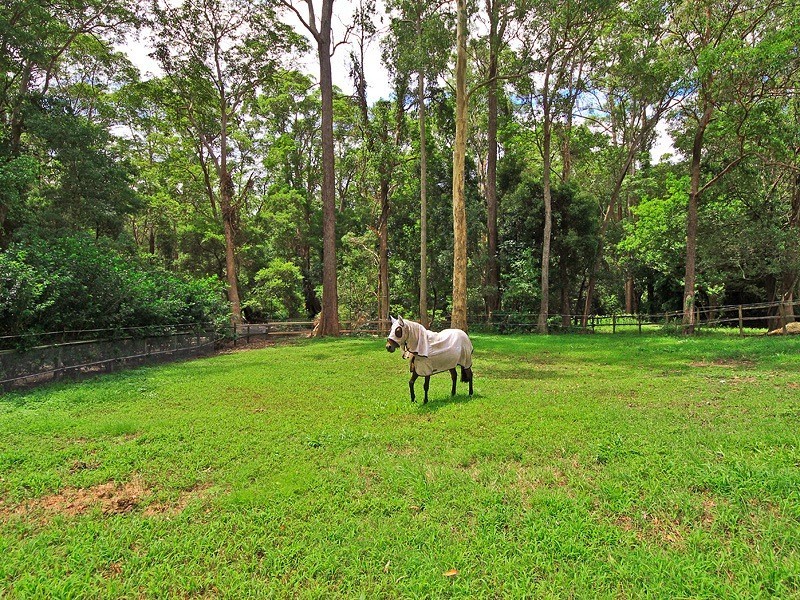 53 Birdlife Court, Nerang QLD 4211