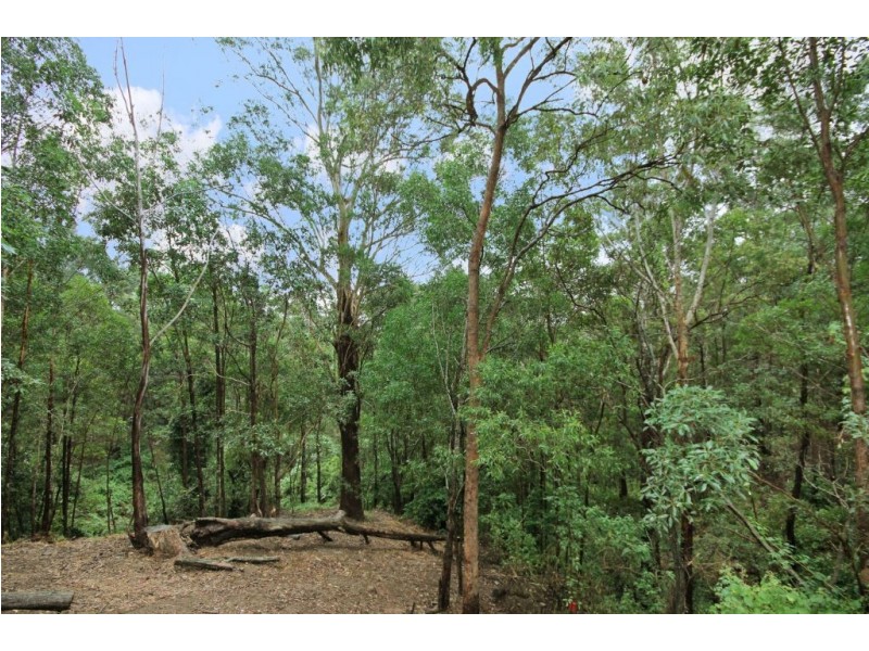 21/15 Simpsons Road, Elanora QLD 4221