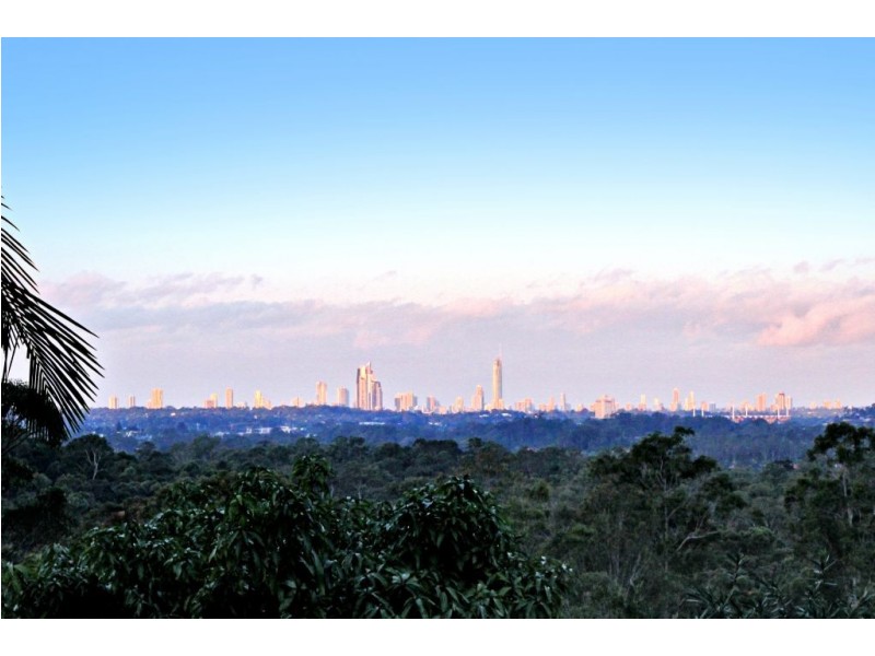 85 Birdlife Court, Nerang QLD 4211