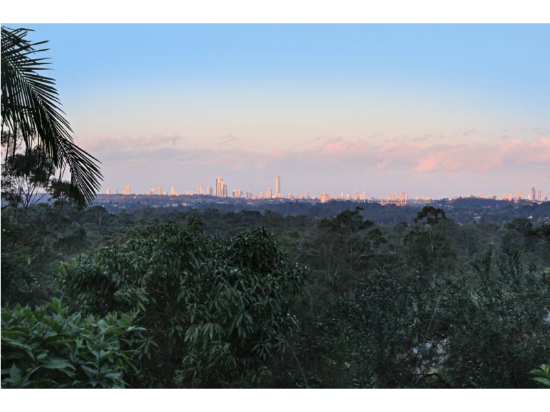 85 Birdlife Court, Nerang QLD 4211