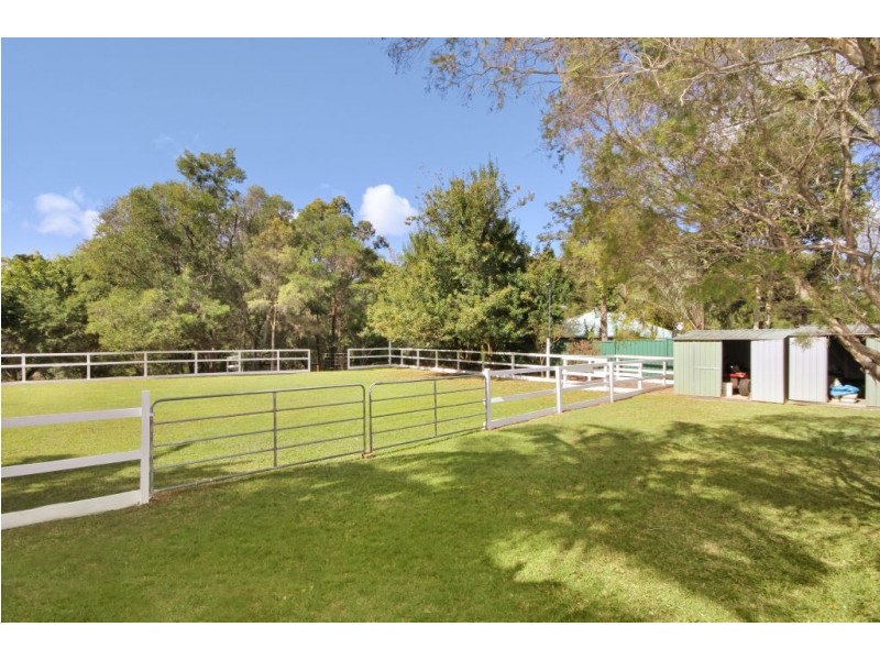 14 Valhalla Ct, Tallai QLD 4213