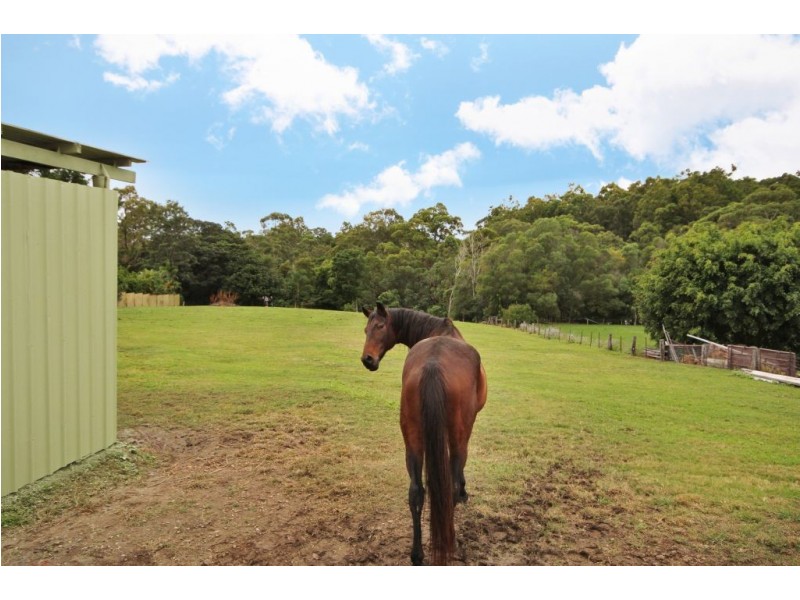 12 Veronica Drive, Tallai QLD 4213