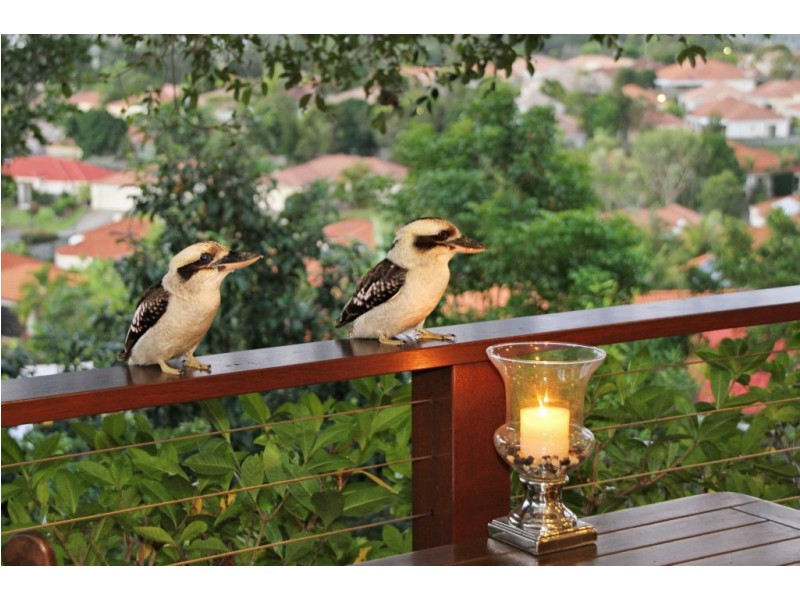 15 Highbridge Rise, Mudgeeraba QLD 4213