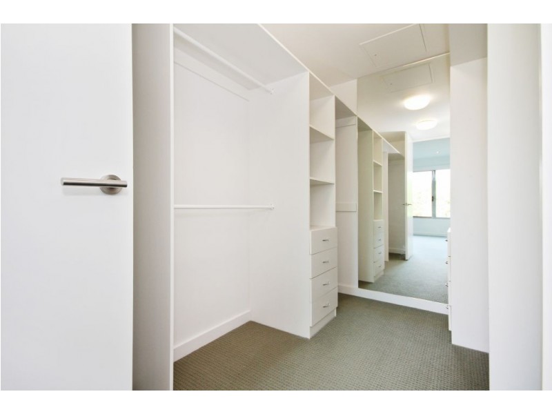 7502 Springfield Drive, Hope Island QLD 4212