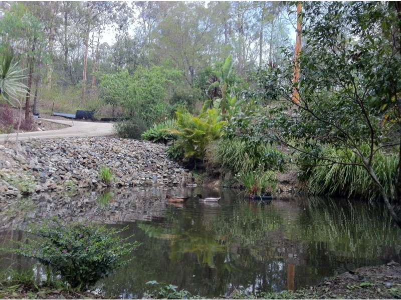 3 Nancy Yaun Court, Worongary QLD 4213