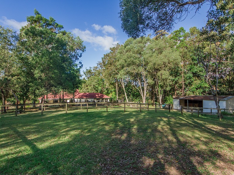 8 Foxtail Court, Tallai QLD 4213