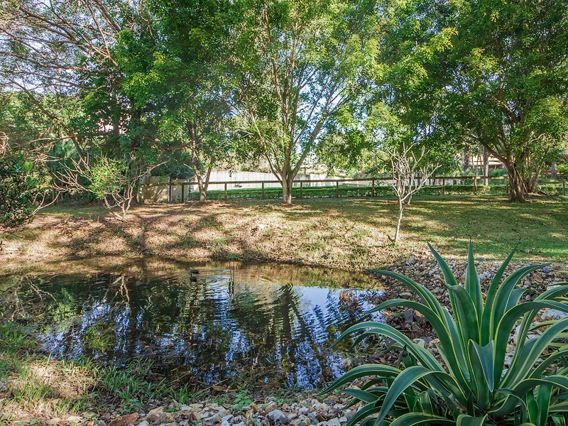 8 Foxtail Court, Tallai QLD 4213