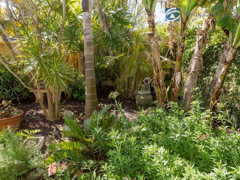 3 Chimera Terrace, Atwell WA 6164