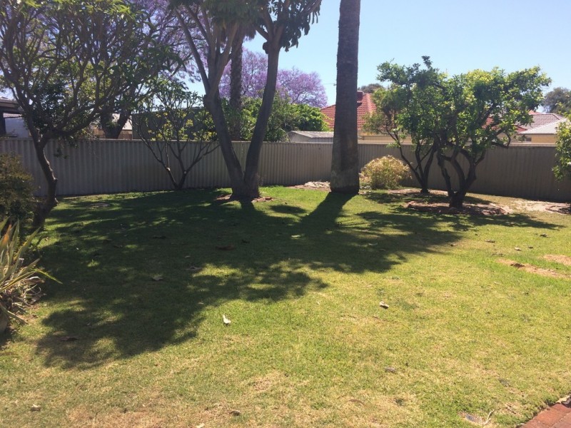 50 Donaldson Street, Queens Park WA 6107