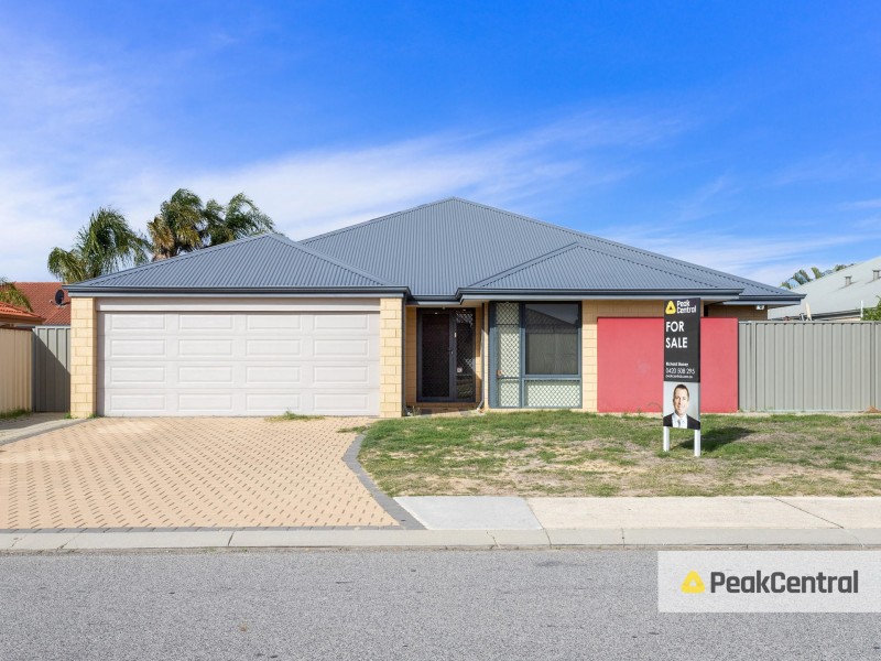 41 McCubbin Loop, Seville Grove WA 6112