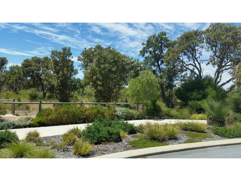 41 Bruny Meander, Wandi WA 6167