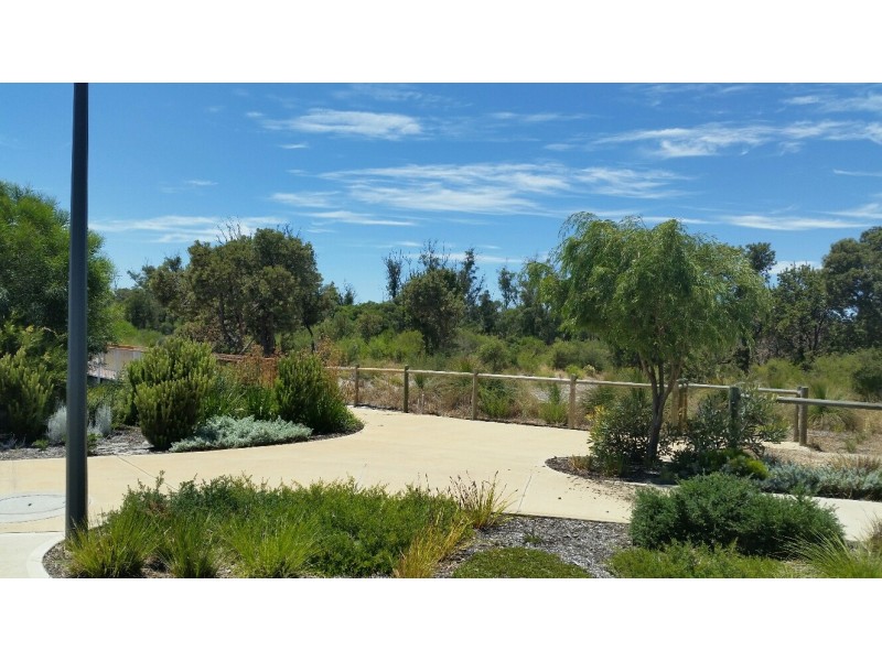 41 Bruny Meander, Wandi WA 6167