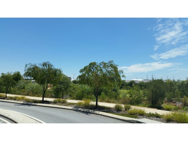 41 Bruny Meander, Wandi WA 6167